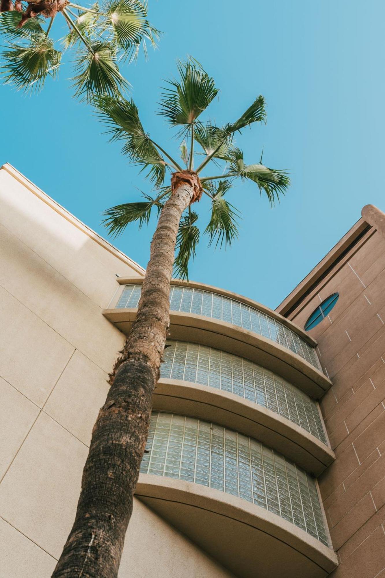 Courtyard By Marriott Los Angeles Lax / Century Boulevard Hotel Exterior photo